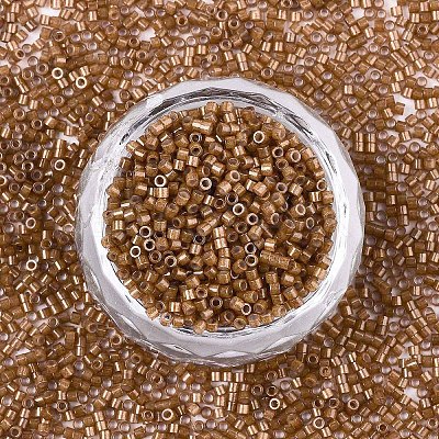 FGB 11/0 Grade A Baking Paint Glass Seed Beads X-SEED-S030-1146-1