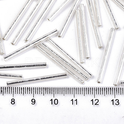 Electroplate Glass Bugle Beads SEED-S043-02A-02-1