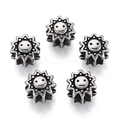 304 Stainless Steel European Style Large Hole Beads STAS-T072-114AS-1