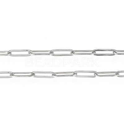 Tarnish Resistant 304 Stainless Steel Paperclip Chains CHS-F010-01F-P-1
