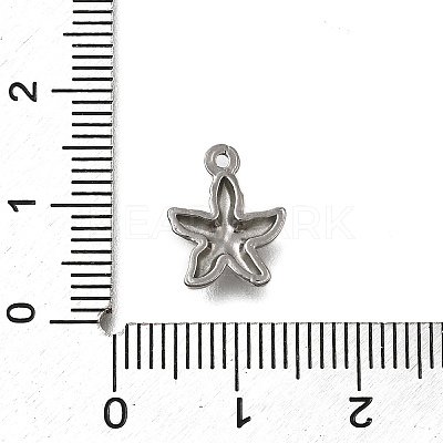 304 Stainless Steel Charms STAS-C119-24D-P-1