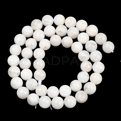 Round Grade A Natural Rainbow Moonstone Bead Strands G-M304-06-8.5mm-1