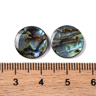 Natural Paua Shell Epoxy Resin Cabochons SSHEL-S279-01A-1