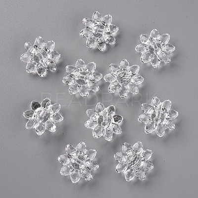 Transparent Acrylic Beads TACR-491-01-1