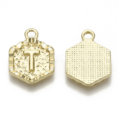 Alloy Pendants PALLOY-N157-003T-NR-1