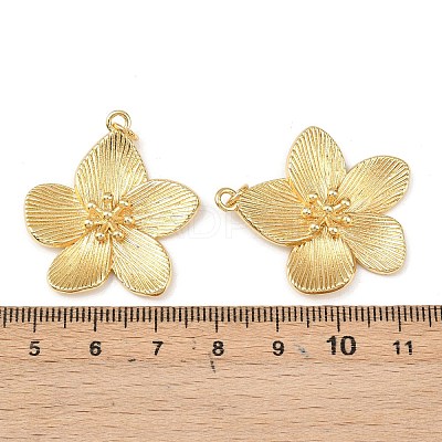 Brass Pendants X-KK-L255-04G-1