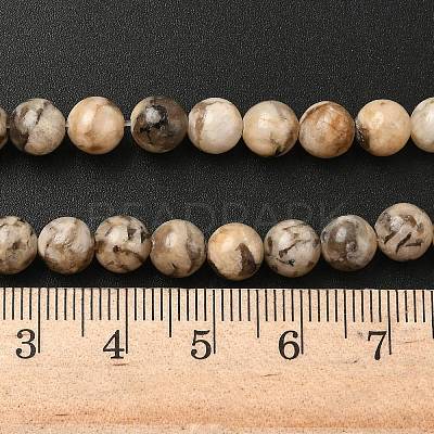 Natural Feldspar Beads Strands G-S259-26-6mm-1