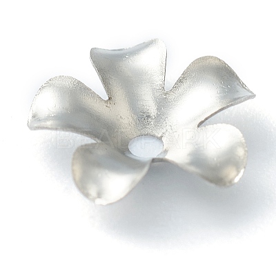 Non-Tarnish 304 Stainless Steel Bead Caps LS-STAS-H149-25P-1