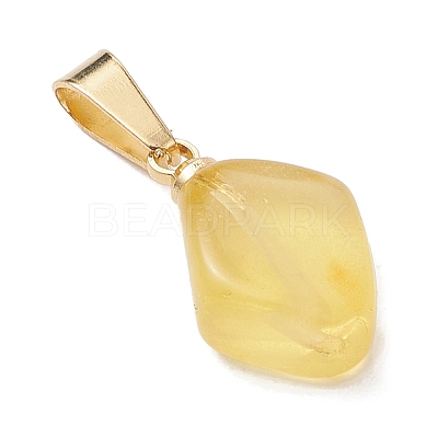 Natural Amber Pendants PALLOY-JF05157-1