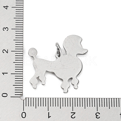 Non-Tarnish 304 Stainless Steel Pendants STAS-E205-13P-1