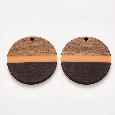 Resin & Walnut Wood Pendants RESI-S384-009A-A02-1