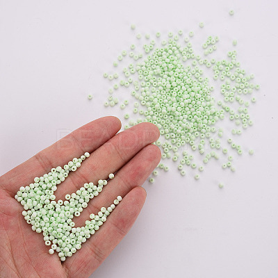 8/0 Opaque Glass Seed Beads X1-SEED-S048-N-009-1