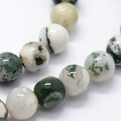 Natural Tree Agate Beads Strands X-G-I199-03-6mm-1