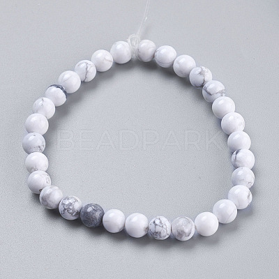 Natural Howlite Beads Strands X-TURQ-G091-6mm-1