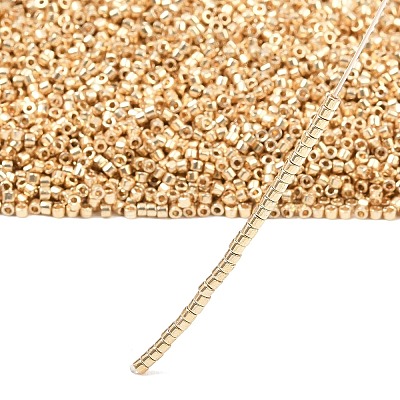 MIYUKI Delica Beads X-SEED-J020-DB2501-1