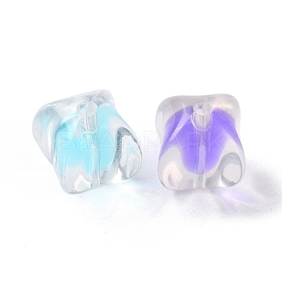 Transparent Acrylic Bead OACR-H112-07A-1