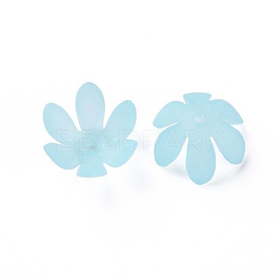 Transparent Acrylic Beads MACR-S373-47-D07-1