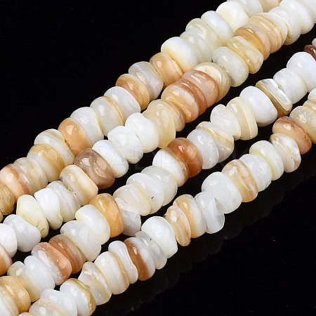 Natural Freshwater Shell Beads Strands X-SHEL-S278-067G-1