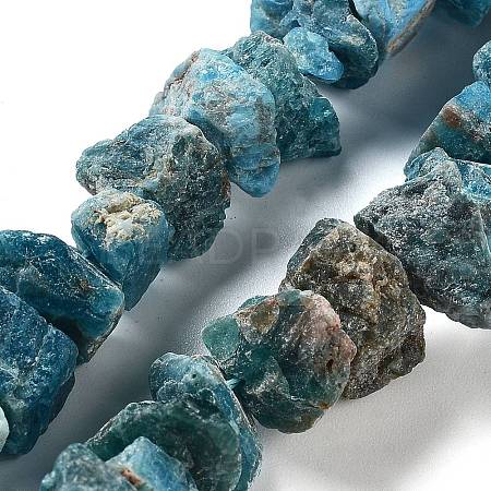 Raw Rough Natural Apatite Beads Strands G-P528-A15-01-1