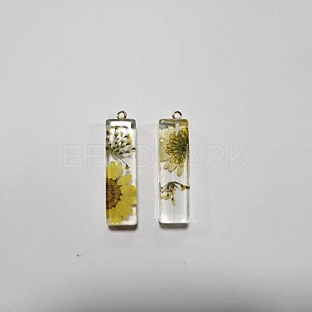 Transparent Epoxy Resin Pendants CRES-YW0002-12I-1