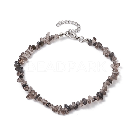 Natural Gemstone Beads Anklets AJEW-AN00583-08-1