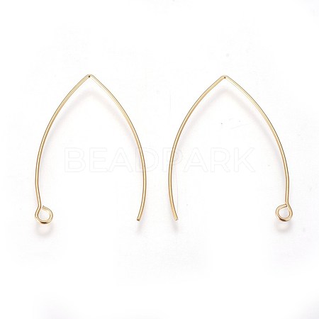 304 Stainless Steel Earring Hooks STAS-E460-07G-1