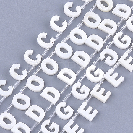 Natural Freshwater Shell Beads X-SHEL-T012-59-1