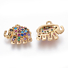 Brass Micro Pave Cubic Zirconia Charms ZIRC-L075-41G-2