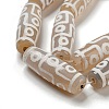 Tibetan Style dZi Beads Strands G-P526-C01-4