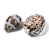 Printed Natural Cowrie Shell Beads SSHEL-Q314-002-2