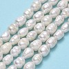 Natural Cultured Freshwater Pearl Beads Strands PEAR-J006-19A-01-2