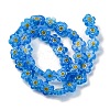 Handmade Millefiori Lampwork Beads Strands LAMP-G164-03C-2