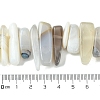 Natural Grey Agate Beads Strands G-G117-C06-01-5