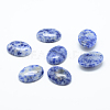 Natural Blue Spot Jasper Cabochons G-T020-18x25mm-09-1