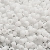 TOHO 6/0 Round Beads X-SEED-TR06-0041F-4
