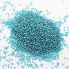 6/0 Round Glass Seed Beads X-SEED-J011-F6-179-2