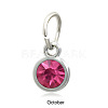 Platinum Plated Alloy Glass Rhinestone Charms PALLOY-TAC0016-B10-P-1