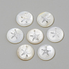 Freshwater Shell Pendants SHEL-Q010-001P-1