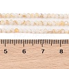 Natural Freshwater Shell Beads Strands X-SHEL-T011-02-4mm-4