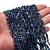 Natural Lapis Lazuli Beads Strands G-I389-A05-1