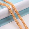 Natural Cultured Freshwater Shell Beads Strands SHEL-F002-01E-2