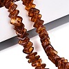 Natural Amber Beads Strands G-N371-12A-02-1