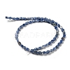 Natural Blue Spot Jasper Beads Strands G-M420-H06-03-3