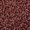 MIYUKI Delica Beads X-SEED-J020-DB2179-3