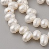 Natural Cultured Freshwater Pearl Beads Strands PEAR-G007-16-3