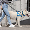 4Pcs 4 Colors Polyester Cord Braided Dog Harness Collar Leash Connector AJEW-GO0001-38-5