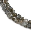 Natural Labradorite Beads Strands G-Q060-B02-4