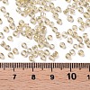 Glass Seed Beads SEED-US0003-3mm-102-3