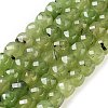 Natural Prehnite Beads Strands G-H028-A05-01-1