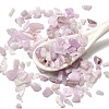 Natural Kunzite Beads G-Z099-A01-1